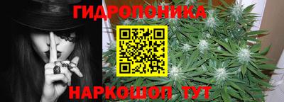 шишки Бердск