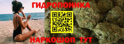 шишки Бердск