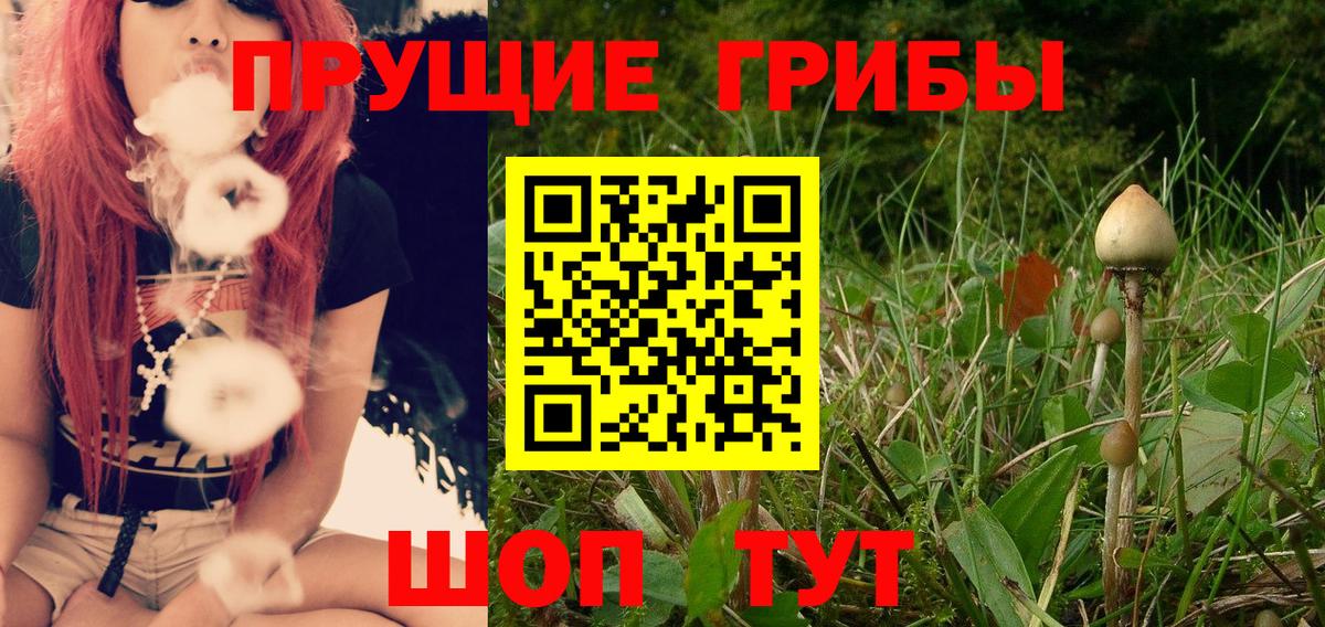 Галлюциногенные грибы мицелий Екатеринбург